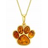 Pendants | Baltic Amber Dog Paw 14K Goldplated 925 Sterling Silver Pendant 18 Necklace